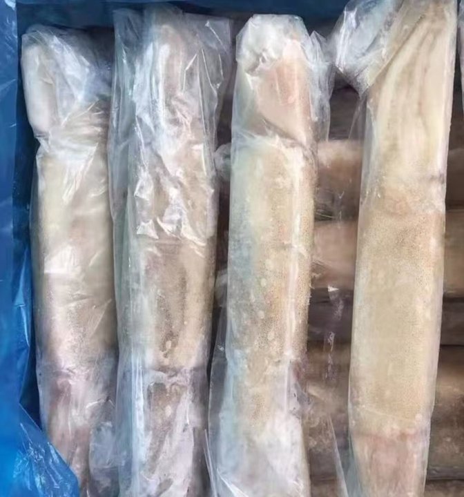 单冻鱿鱼 3公斤装
