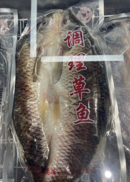 开背草鱼 1100-1250g/条